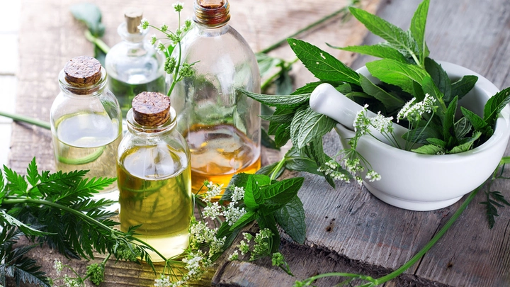 Các bậc thầy y học cổ truyền Việt Nam