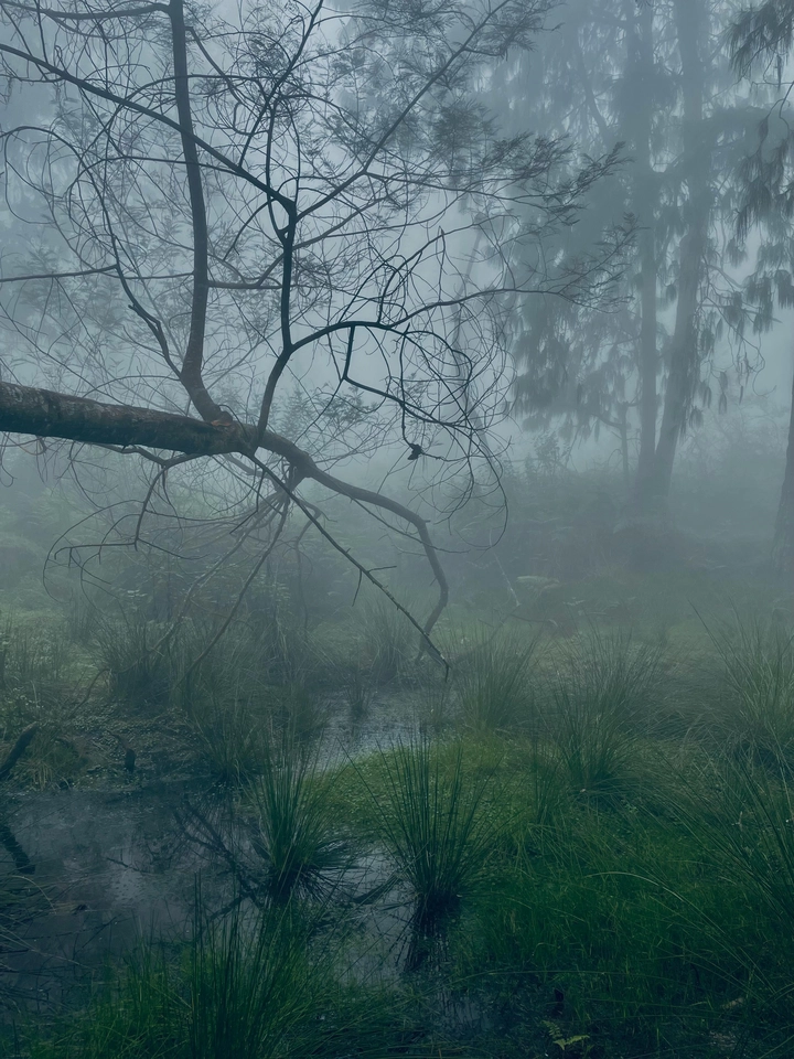 Zreview - Review cả thế giới