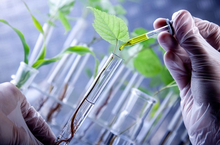 Công nghệ sinh học thực phẩm: Ứng dụng và xu hướng phát triển