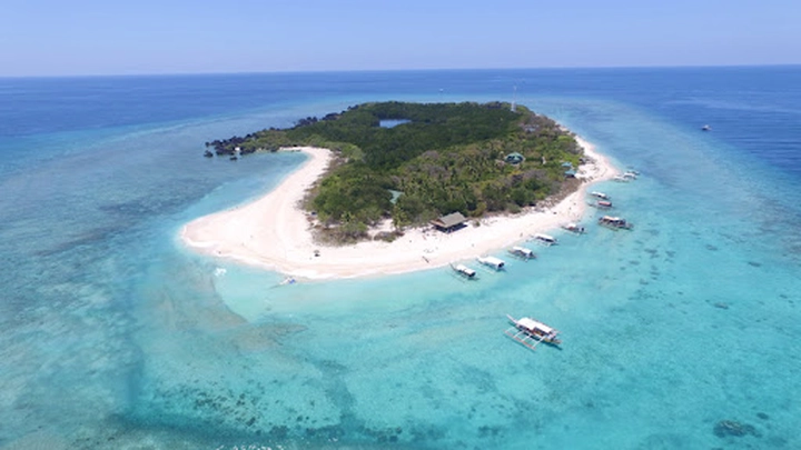 Khám phá rạn san hô Apo Reef (Philippines) – thiên đường dưới đáy đại dương