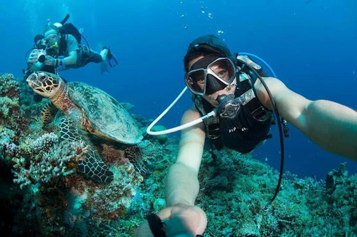 Khám phá rạn san hô Apo Reef (Philippines) – thiên đường dưới đáy đại dương